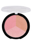 Buy Cameleon 3 Colors Professional Bronzer 01 - Purplle