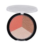 Buy Cameleon 3 Colors Professional Bronzer 03 - Purplle