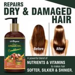 Buy LA Organo Argan Hair Oil with Shampoo & Conditioner - Perfect Hair Combo (3 Items) - Purplle
