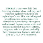 Buy Biotique Morning Nectar Visbily Flawless Sun Protector 30+ SPF UVA/UVB Sunscreen (120 ml) - Purplle