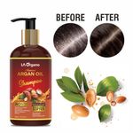 Buy LA Organo Argan Hair Oil & Shampoo For Hair Growth,Smooth & Shiny Hair- Perfect Hair Care Combo (2 Items in the set) - Purplle