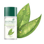Buy Biotique Bio Morning Nectar Visibly Flawless Serum (40 ml) - Purplle