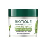 Buy Biotique Bio Morning Nectar Visibly Flawless Moisturizing Cream (50 g) - Purplle