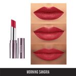 Buy Lakme Absolute Limited Edition Matte Lipstick - Plum (3.7 g) - Purplle