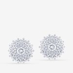 Buy Queen Be Ornate Wonder White Earrings - Purplle