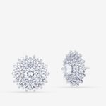 Buy Queen Be Ornate Wonder White Earrings - Purplle
