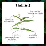 Buy Good Vibes Nourishing Hair Mist - Bhringraj (50ml) - Purplle