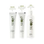 Buy Plum Green Tea Experience Kit (Set Of 3) - Purplle