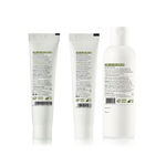 Buy Plum Green Tea Experience Kit (Set Of 3) - Purplle