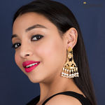 Buy Queen Be Bird Novelty Earrings - Purplle