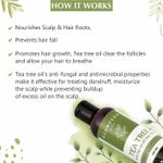 Buy Glamveda Tea Tree Anti-hair fall & Anti-dandruff Hair Oil (100 ml) - Purplle
