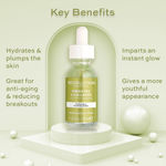 Buy Makeup Revolution Skincare Green Tea & Collagen Serum (30 ml) - Purplle