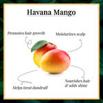 Buy Good Vibes Moisturizing Shampoo - Havana Mango (200 ml) - Purplle
