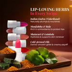 Buy Just Herbs Ayurvedic Lipstick Shade Sampler Kit 7gm - Purplle