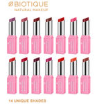 Buy Biotique Natural Makeup Starshine Matte Lipstick (Rebel-N-Rose) (3.5 g) - Purplle