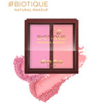 Buy Biotique Natural Makeup Diva Duo Blush (Sassy-N-Spicy)(9 gm) - Purplle