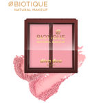 Buy Biotique Natural Makeup Diva Duo Blush (Rose-N-Radiance)(9 g) - Purplle