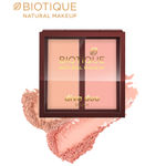 Buy Biotique Natural Makeup Diva Duo Blush (Pastel-N-Peach)(9 gm) - Purplle