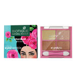 Buy Biotique Natural Makeup Stardust Eye Shadow (Earth Song)(7 gm) - Purplle