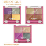 Buy Biotique Natural Makeup Stardust Eye Shadow (Moon Shadow)(7 gm) - Purplle