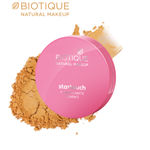 Buy Biotique Natural Makeup Startouch Flawless Matte Compact (Tawny Nutmeg)(9 g) - Purplle