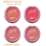 Buy Biotique Natural Makeup Starstruck Matte Blush (Coral Cache)(6 gm) - Purplle