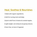 Buy Mother Sparsh Nipple Butter Cream for Breastfeeding Moms, Virgin Coconut Oil and Organic Shea Butter (25gm) - Purplle
