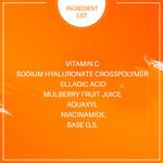 Buy Vit Citrus Vitamin C Sodium Hyaluronate Skin Moisturizing Face Gel (70 gm) - Purplle