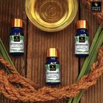 Buy Good Vibes Rosemary 100% Pure Essential Oil | Anti_Acne, Hair Strngthening | No GMO, No Synthetics, 100% Vegan (10 ml) - Purplle