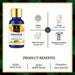 Buy Good Vibes Orange 100% Pure Essential Oil | Skin Brightening, Hair Growth | 100% Natural, No GMO, No Synthetics, No Animal Testing (10 ml) - Purplle