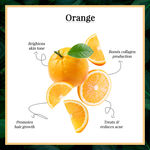 Buy Good Vibes Orange 100% Pure Essential Oil | Skin Brightening, Hair Growth | 100% Natural, No GMO, No Synthetics, No Animal Testing (10 ml) - Purplle
