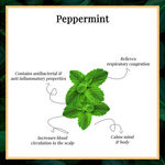 Buy Good Vibes Peppermint 100% Pure Essential Oil | Anti-Fungal, Hair Growth, Cures Skin | 100% Vegetarian, No Synthetics, No Animal Testing (10 ml) - Purplle
