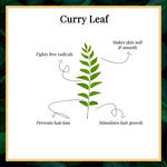 Buy Good Vibes 100% Pure Essential Oil - Curry Leaf (10 ml) - Purplle