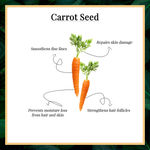 Buy Good Vibes 100% Pure Essential Oil - Carrot Seed (10 ml) - Purplle