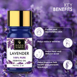 Buy Good Vibes Lavender 100% Pure Essential Oil | Skin Smoothening, Hair Growth | 100% Vegetarian, No GMO, No Synthetics, No Animal Testing (5 ml) - Purplle