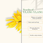 Buy Good Vibes 100% Pure Essential Oil - ylang ylang (5 ml) - Purplle