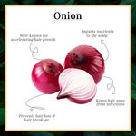 Buy Good Vibes Onion Hair Fall Control Hair Mask | Strengthening, Hair Growth | No Parabens, No Sulphates, No Animal Testing (200 g) - Purplle
