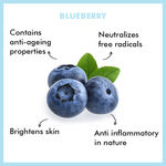 Buy Purplle Youthful Skin Microfiber Sheet Mask with Blueberry Extracts | All Skin Types | Brightening | Hydrating | Blemish Removal | Anti-Aging (20 ml) - Purplle
