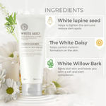 Buy The Face Shop White Seed Exfoliating Cleansing Foam (150 ml) - Purplle