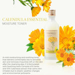 Buy The Face Shop Calendula Essential Moisture Toner with Squalane, Face Toner to reduce redness & calm irritated skin 150 ml - Purplle