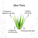 Buy Alps Goodness Health Juice - Aloe Vera - Pack of 2 (300 ml X 2) - Purplle