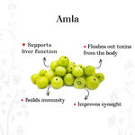 Buy Alps Goodness Health Juice - Amla - Pack of 2 (300 ml X 2) - Purplle