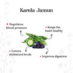 Buy Alps Goodness Health Juice - Karela Jamun - Pack of 2 (300 ml X 2) - Purplle