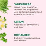 Buy Akiva Love Wheatgrass Detox Ready To Drink Ayurvedic Juice Pack Of 30(40 ml each) - Purplle