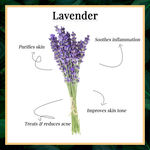 Buy Good Vibes Lavender Soothing Handmade Soap Bar (Pack of 3) - 100g x 3 - Purplle