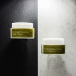 Buy Urban Veda Purifying Protecting Night Cream (50 ml) - Purplle