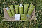 Buy Urban Veda Purifying Protecting Night Cream (50 ml) - Purplle