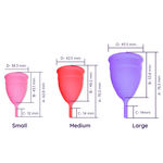 Buy Sanfe Reusable Menstrual Cup with No Rashes, Leakage Or Odor - Premium Design for Women - Large (Pack of 3) # SMC005 - Purplle