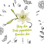 Buy Good Vibes Skin Rejuvenating Sheet Masks Combo (White Tea + Grapefruit + Lily + Pomegranate + Olive) - Purplle