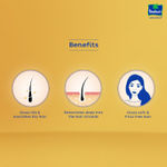 Buy Parachute Advansed Ayurvedic Hot Oil (400 ml) with Free (90 ml) Pack - Purplle